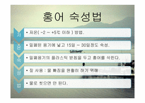 홍허 숙성과 미생물, 생성물에 대하여-13