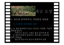 영화 속 환경 오염-7