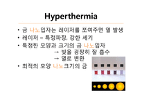 나노 의약(nanomedicine)-12