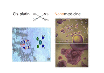 나노 의약(nanomedicine)-18