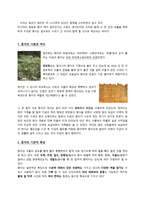 종이의 기원과 역사-3