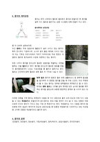 종이의 기원과 역사-4