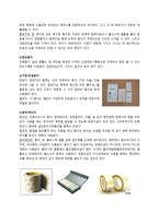 종이의 기원과 역사-6