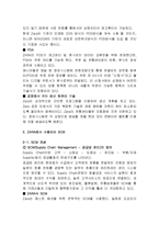 자라 ZARA SCM 성공사례분석 보고서-11