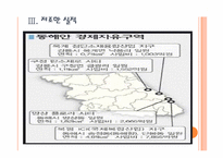 [경제자유구역]경제자유구역 정책에 대한 문제점과 해결방안 PPT자료-11