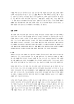 유아교육사상사-10장 인지연구요약-4