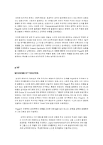 유아교육사상사-10장 인지연구요약-14