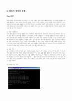 [해킹]해킹의 종류, 개념, 유형과 그 대처방안-3