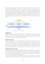 [경영]21세기 새로운 경영패러다임-지식경영-11