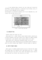 [회계학]공분산과 상관계수에 관한 고찰-4