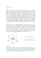 [프랜차이즈 경영론] KFC의 현지화 및 KFCKOREA가 나가야 할 방향-7