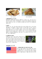 외식산업- 기타지역의 식문화-7