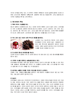 외식산업- 기타지역의 식문화-8