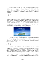 관광 e-비즈니스 성공사례 조사분석-4