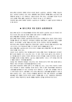 페이스북을 통해 살펴본 전자상거래-11