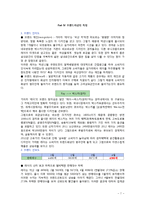 현대기아차 레이 Ray 소형차 성공적인 브랜드관리 사례 분석-8