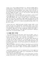 기업 마케팅 성공사례 -꼬꼬면의 성공 요인 및 마케팅전략-13