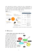 의류 브랜드 식스투파이브 6to5(SIX TO FIVE) 마케팅분석, 실패원인 분석-3