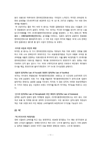 의류 브랜드 식스투파이브 6to5(SIX TO FIVE) 마케팅분석, 실패원인 분석-11