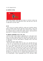 라면시장의 선발주자, 후발주자의 성공 및 실패사례-13