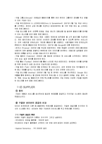 스마트폰 환경에서의 구글의 국내시장 현지화 마케팅 전략-8
