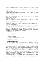 스마트폰 환경에서의 구글의 국내시장 현지화 마케팅 전략-9