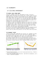 스마트폰 환경에서의 구글의 국내시장 현지화 마케팅 전략-14