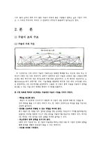 [조직행동론] 구글(Google)의 성공 요인-5