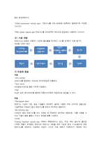천연가스 시장 동향-4