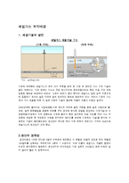 천연가스 시장 동향-14