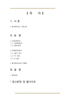 할리데이비슨 마케팅 전략-2