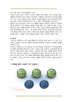 할리데이비슨 마케팅 전략-12