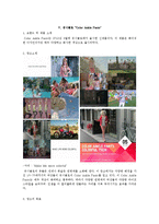 소비자 의사결정과정 모델 연구-18