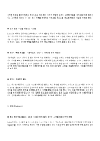 ZARA 자라 분석 레포트-3
