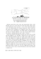 1950년대 한국의 도시화 이후로 나타난 열섬 현상에 대하여-5