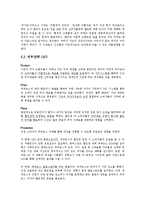 파파존스의 전략적 분석 및 지속적 성장을 위한 마케팅 전략-13