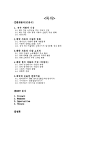 중국의 자동차 산업-2