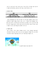 [국제경영] 넥슨(NEXON) 해외진출사례-10