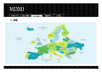[국제경영] 미쏘(MIXXO) 진출전략-11