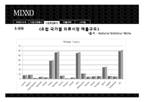 [국제경영] 미쏘(MIXXO) 진출전략-13