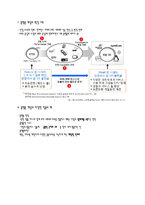플랫폼의 다양한 의미와 변화 -소니의 플랫폼화 실패 사례-5