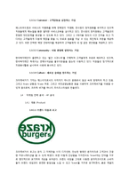 크라제버거의 전략적 분석 및 새로운 마케팅 전략 제안-13