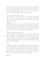 [조직이론] 사우스웨스트 항공사 사례-10
