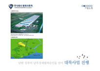 [글로벌경영] 평화자동차 해외직접투자(FDI)사례-4