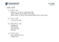 [글로벌경영] 평화자동차 해외직접투자(FDI)사례-19