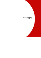 [광고기획] 포스트 라이트업 광고 커뮤니케이션 전략서-2
