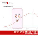[광고기획] 포스트 라이트업 광고 커뮤니케이션 전략서-9