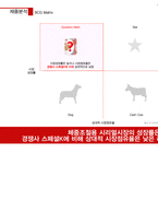 [광고기획] 포스트 라이트업 광고 커뮤니케이션 전략서-11
