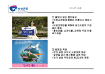 [경영학] 부산은행 환경 분석, 전략-16