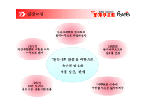 기업 마케팅 성공사례 -꼬꼬면의 성공 요인 및 마케팅전략-7
